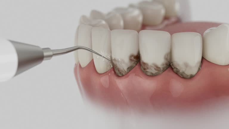 Reliable Dental contractor in Grover, WY by Dentist Open Now